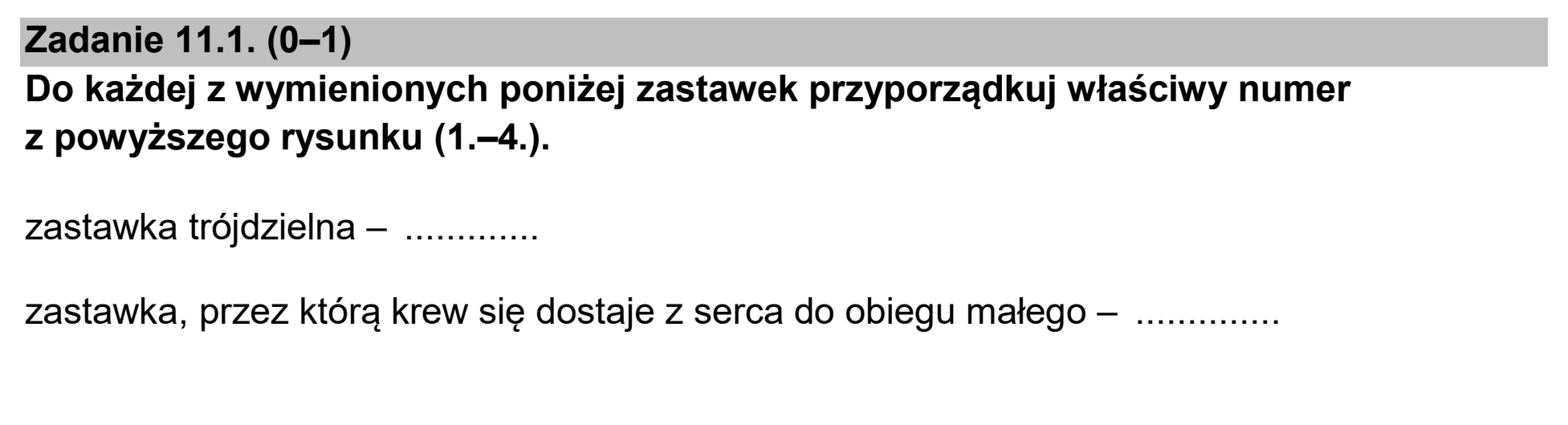 Matura dodatkowa, czerwiec 2025, zadanie 11.1