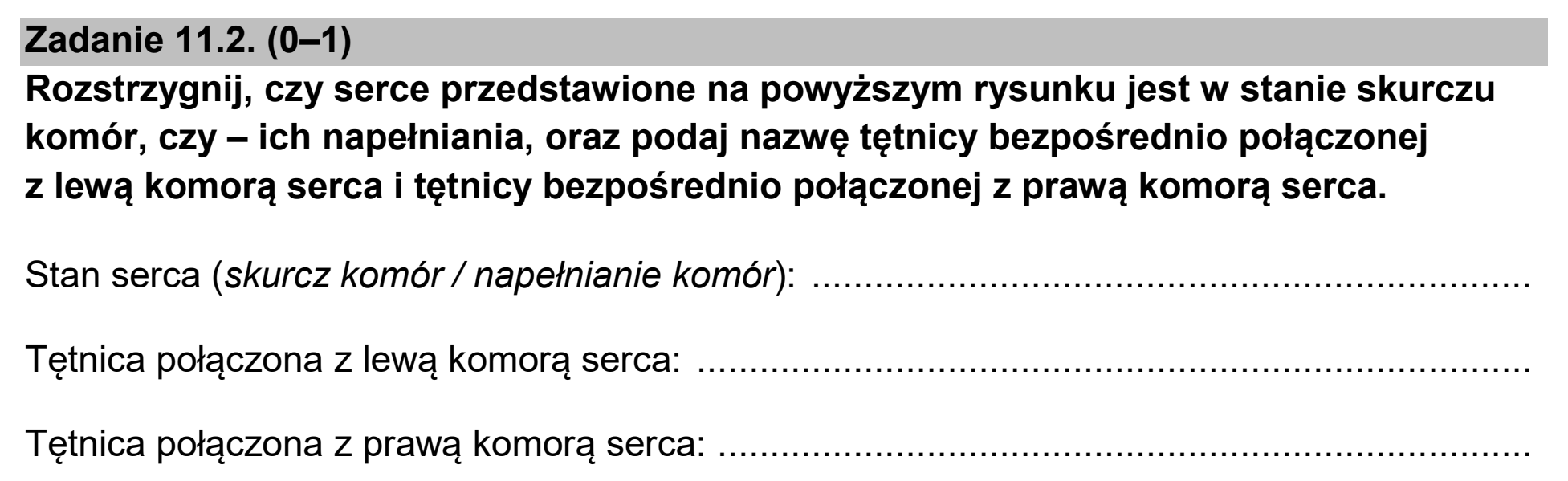 Matura dodatkowa, czerwiec 2025, zadanie 11.2
