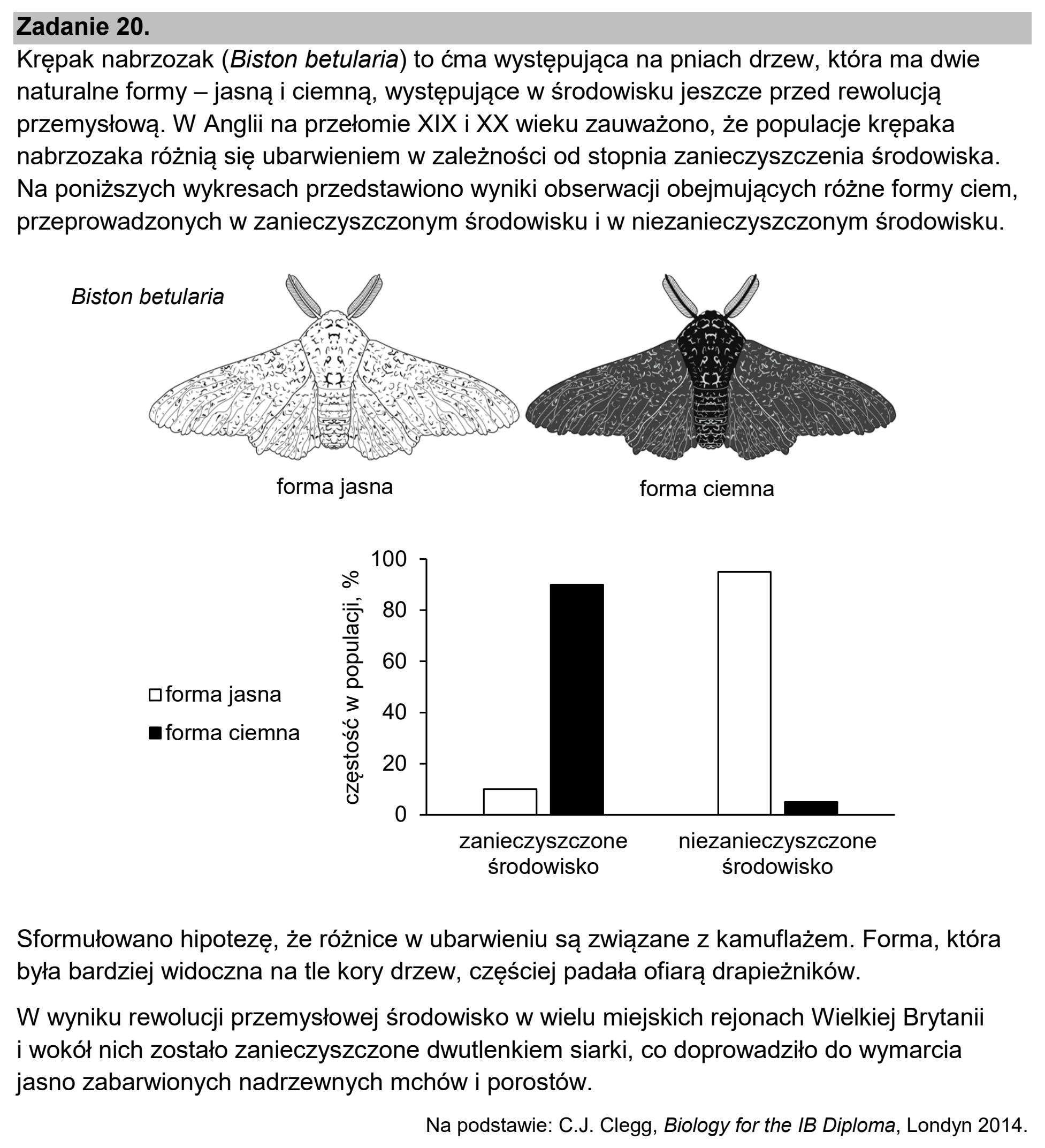 Matura dodatkowa, czerwiec 2025, wstęp zadania 20