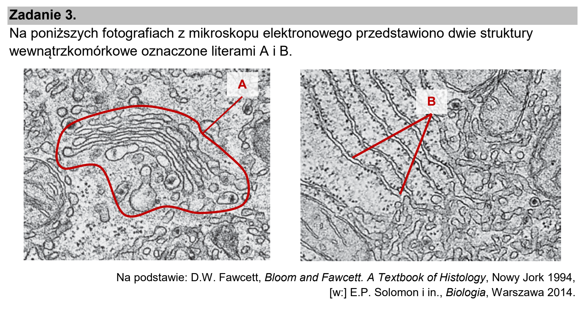 Matura dodatkowa, czerwiec 2025, wstęp zadania 3