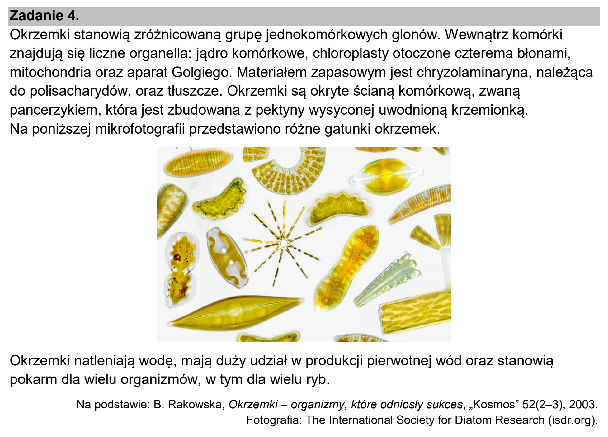 Matura dodatkowa, czerwiec 2025, wstęp zadania 4
