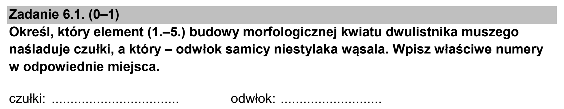 Matura dodatkowa, czerwiec 2025, zadanie 6.1