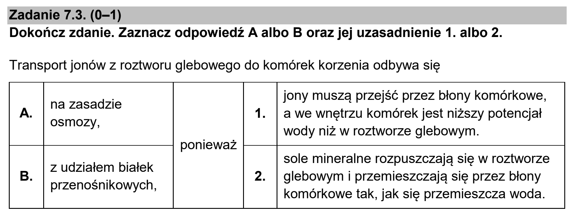 Matura dodatkowa, czerwiec 2025, zadanie 7.3