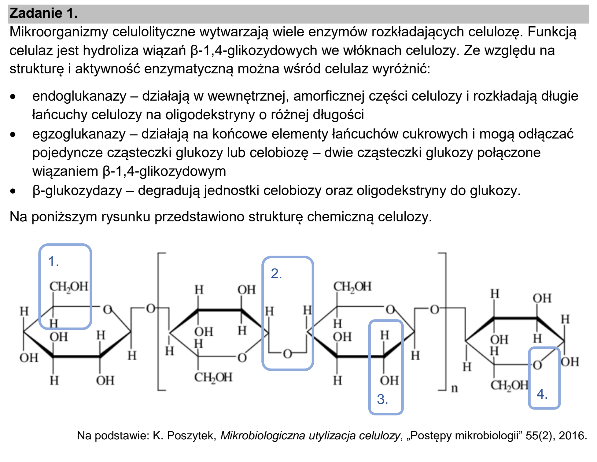 Matura dodatkowa, czerwiec 2026, wstęp zadania 1