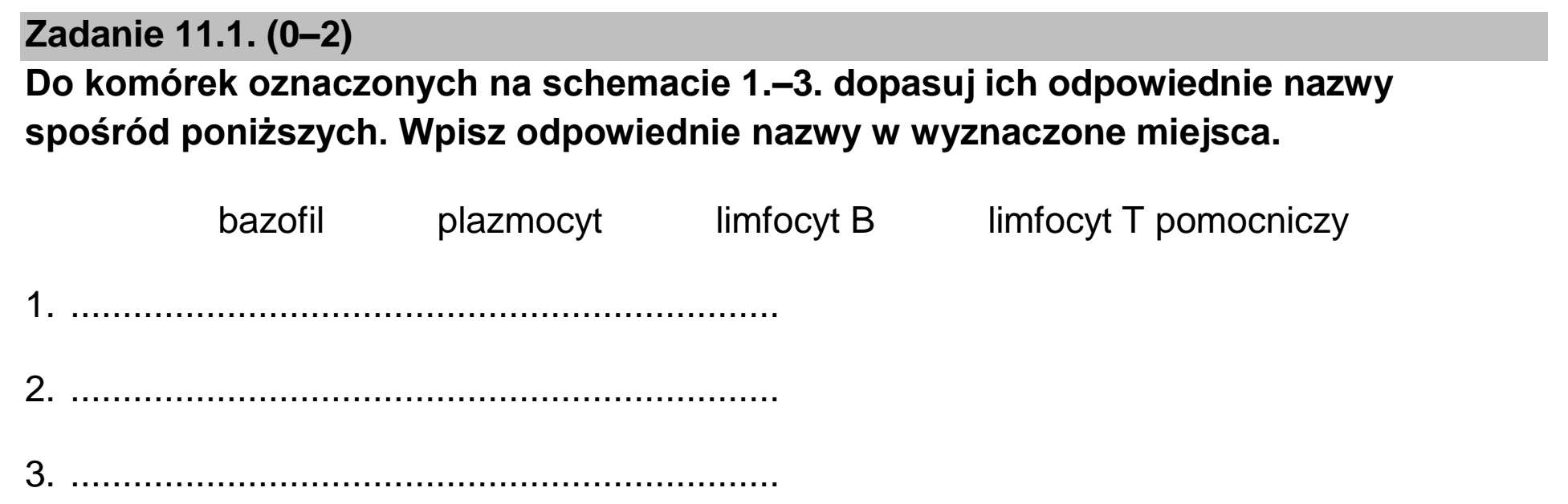 Matura dodatkowa, czerwiec 2026, zadanie 11.1