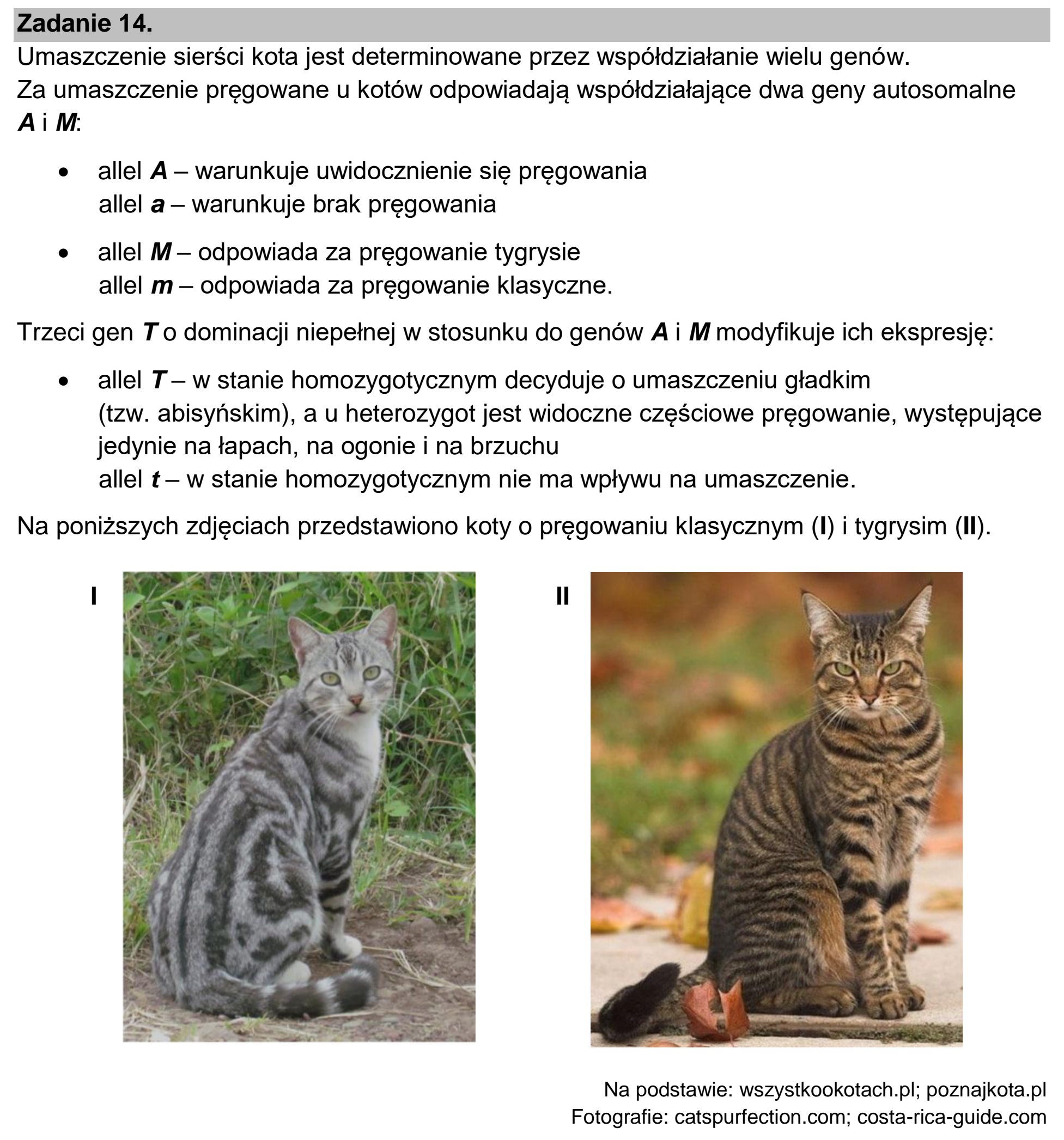 Matura dodatkowa, czerwiec 2026, wstęp zadania 14