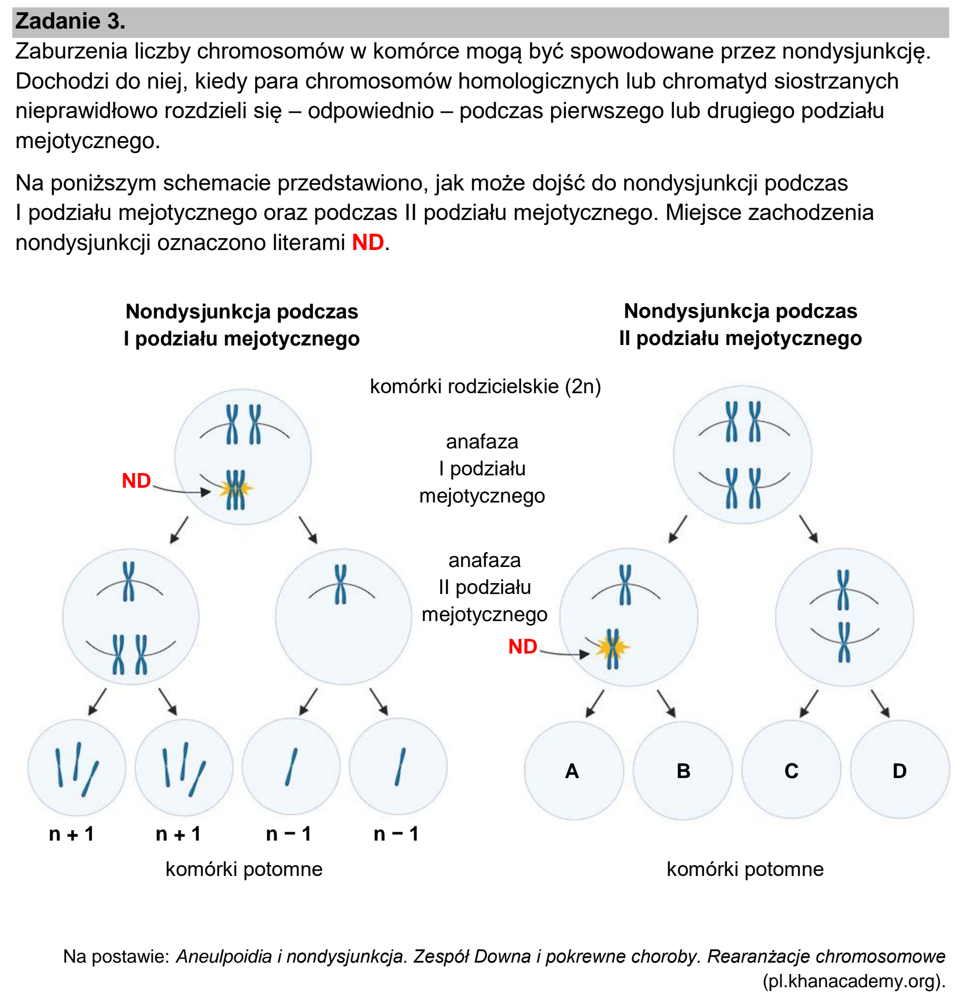 Matura dodatkowa, czerwiec 2026, wstęp zadania 3