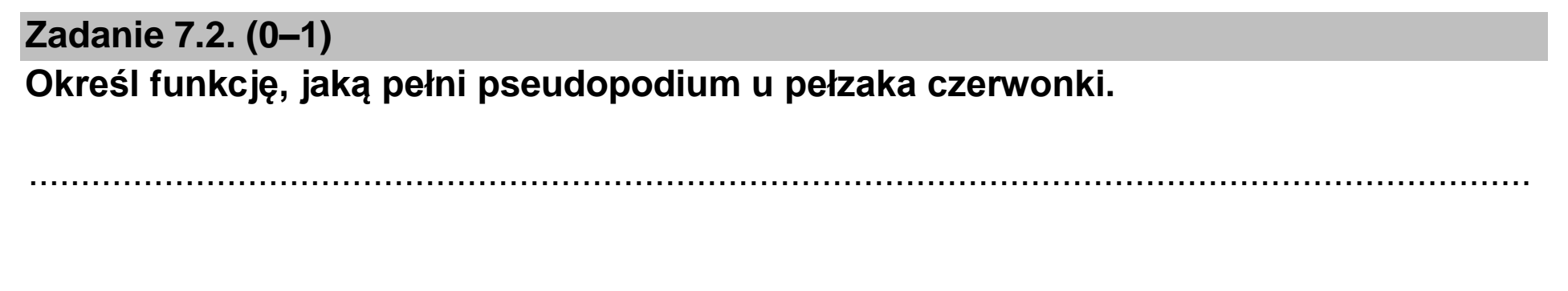 Matura dodatkowa, czerwiec 2026, zadanie 7.2