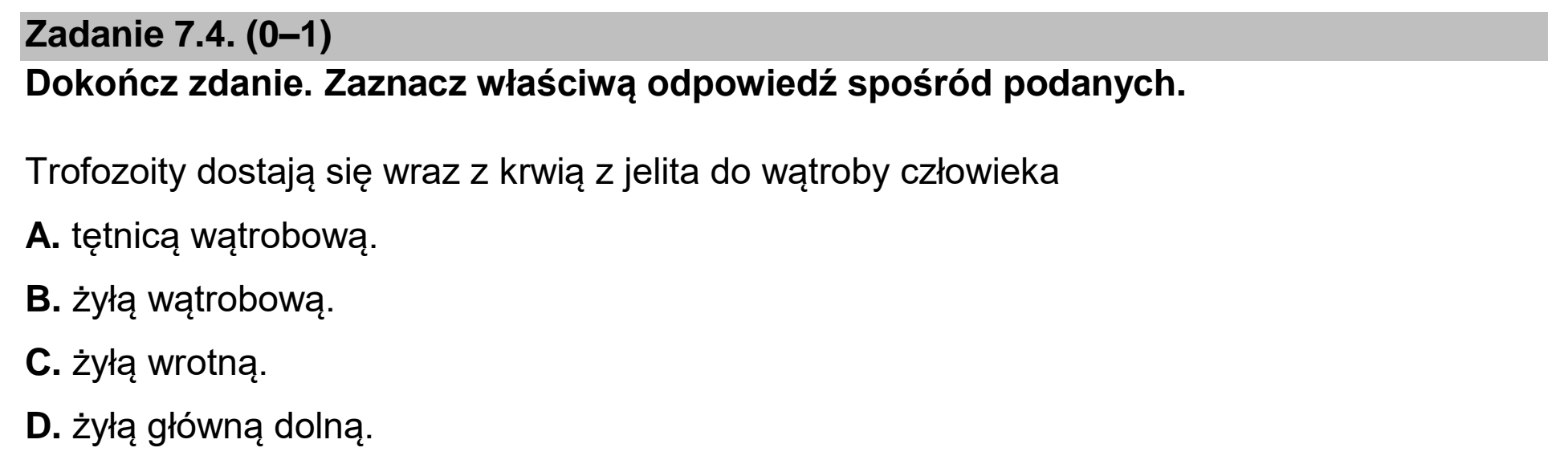 Matura dodatkowa, czerwiec 2026, zadanie 7.4