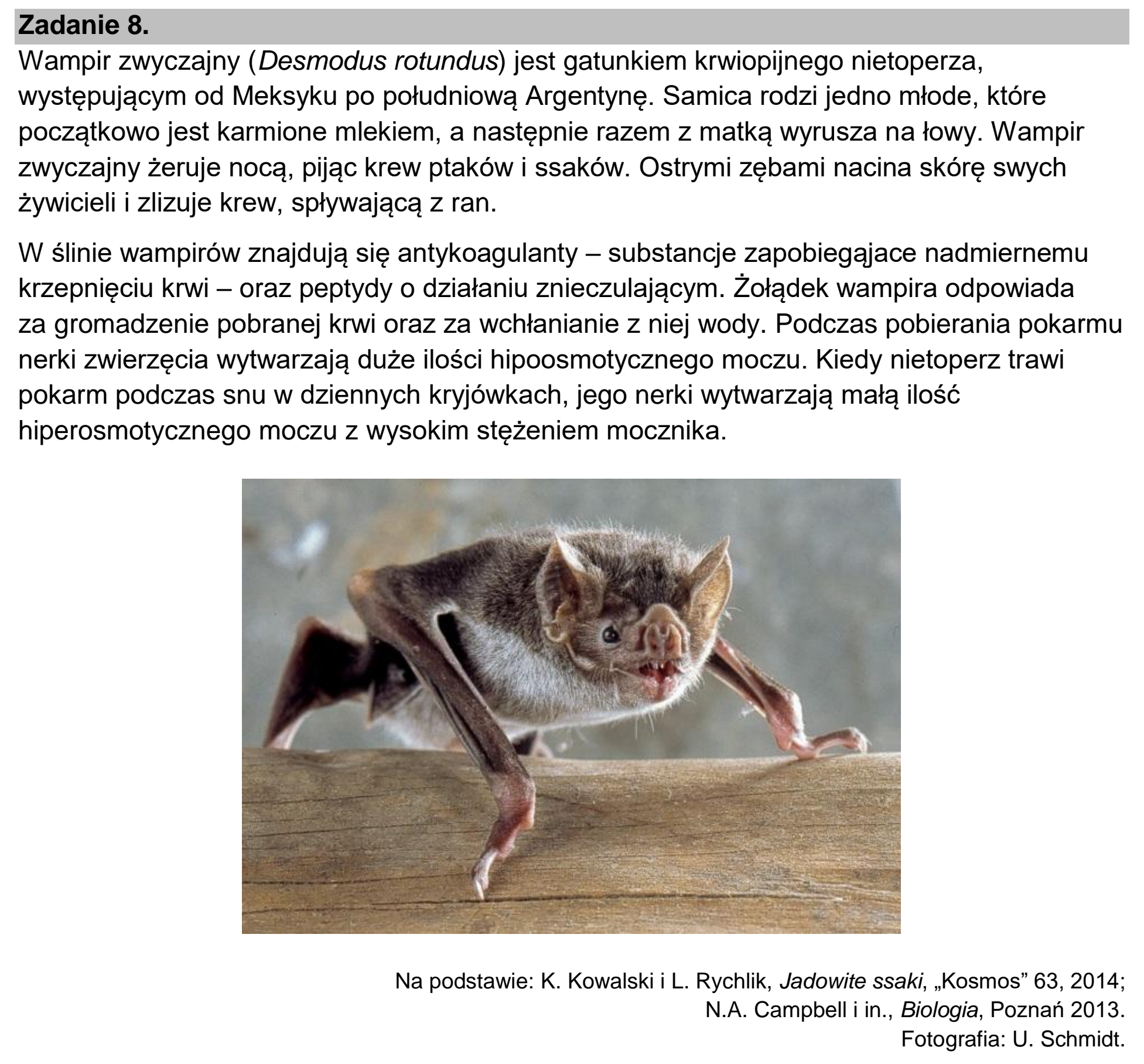 Matura dodatkowa, czerwiec 2026, wstęp zadania 8