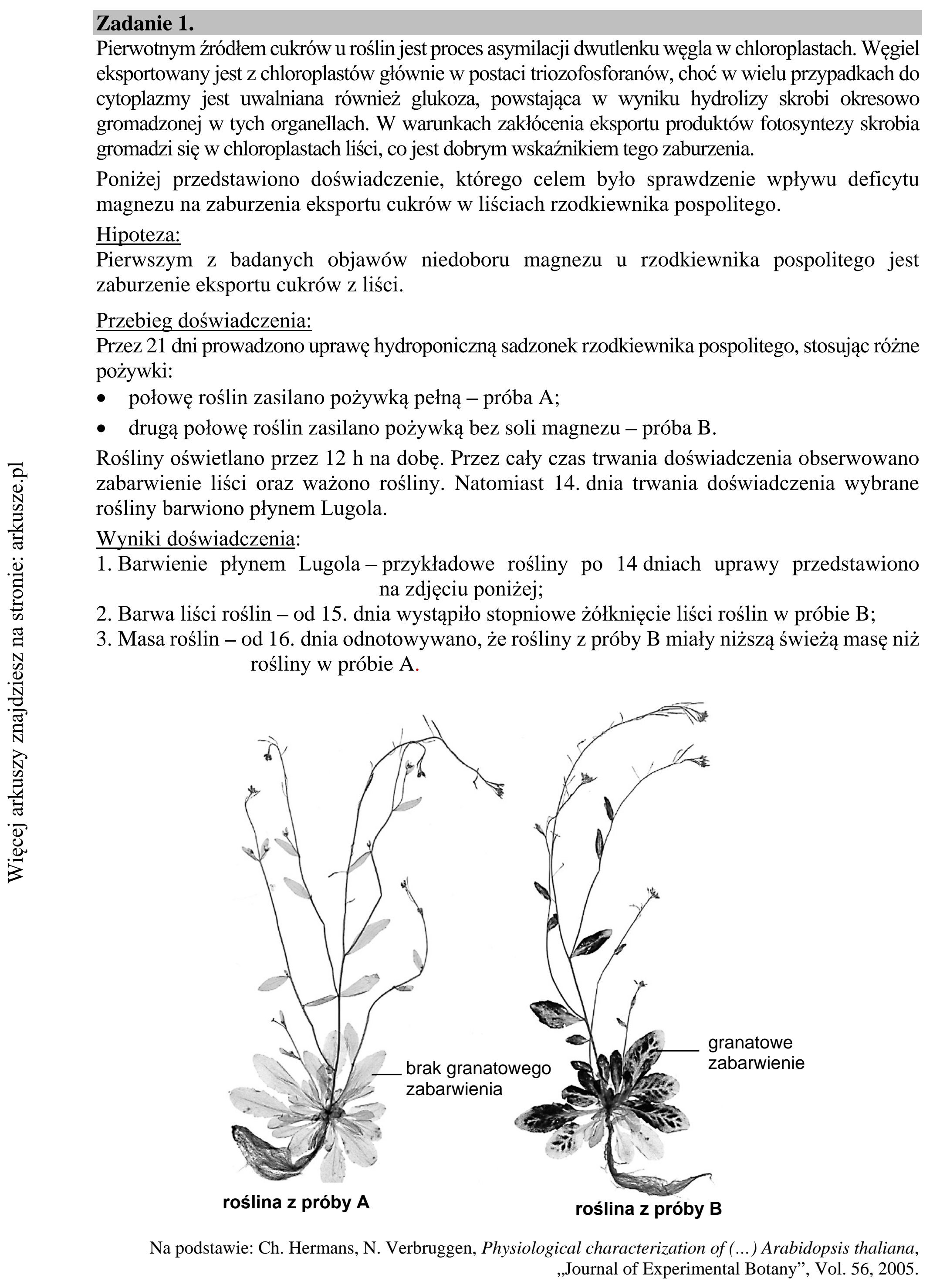 Matura dodatkowa, lipiec 2020, wstęp zadania 1