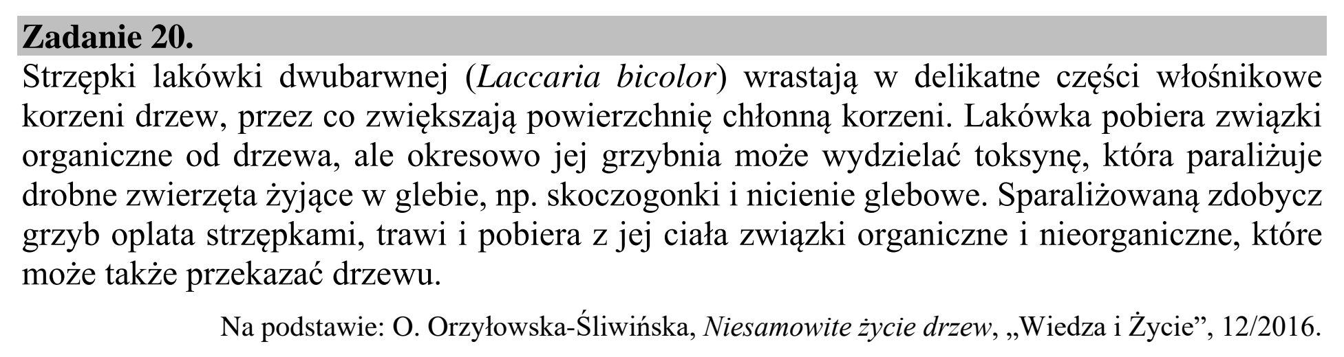 Matura dodatkowa, lipiec 2020, wstęp zadania 20