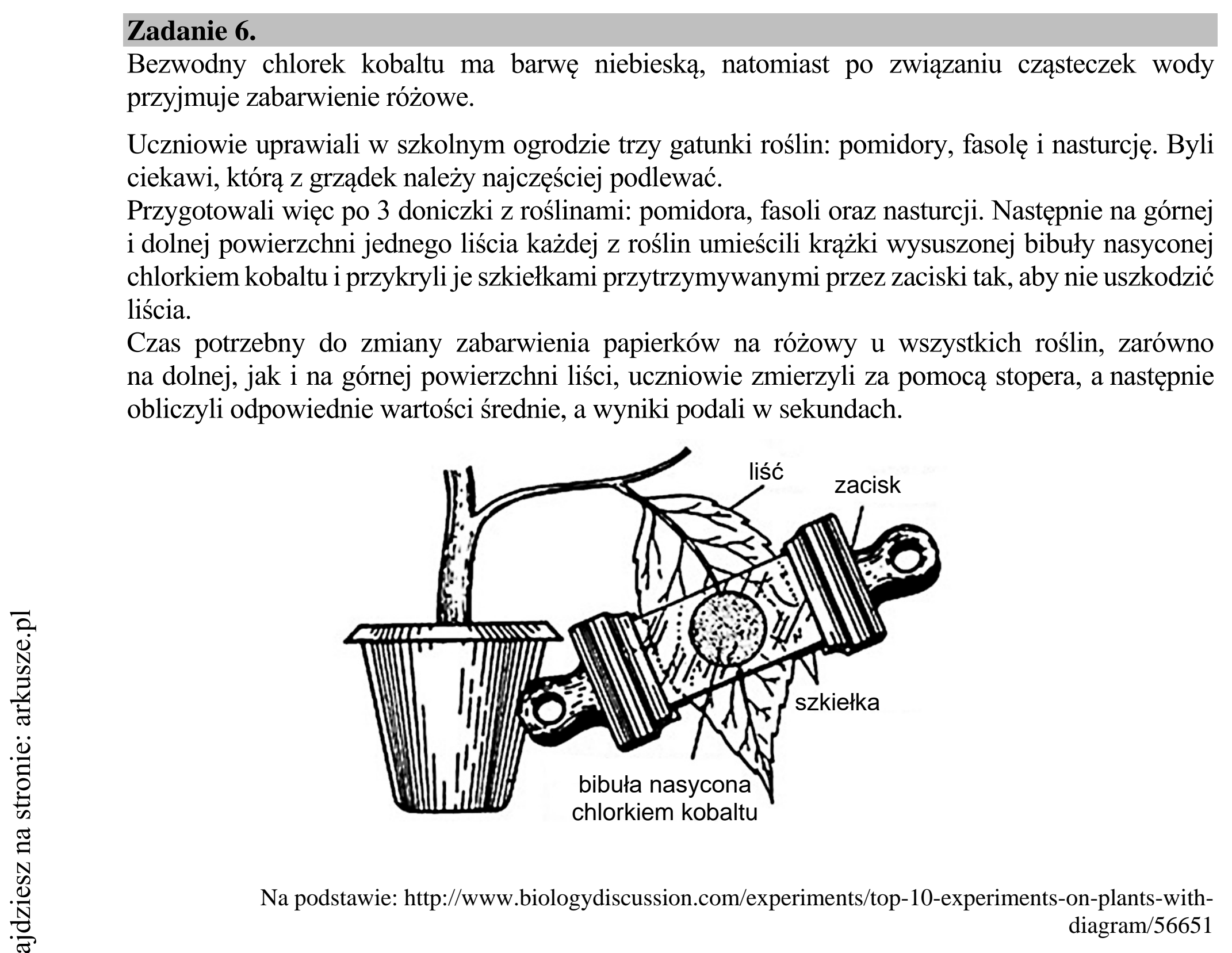 Matura dodatkowa, lipiec 2020, wstęp zadania 6