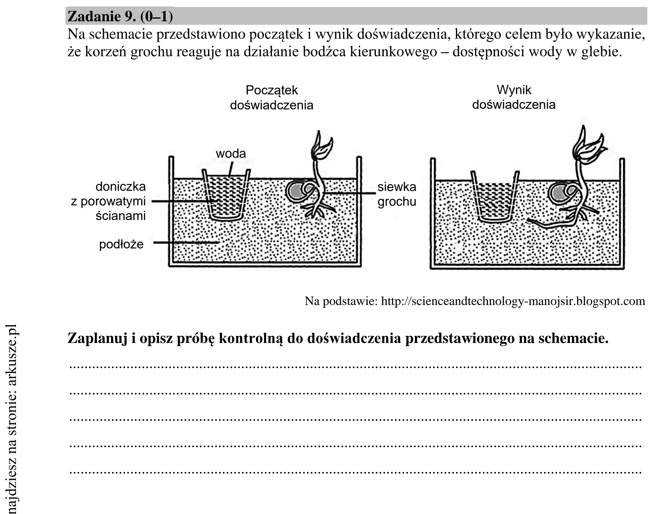 Matura dodatkowa, lipiec 2020, podgląd zadania 9