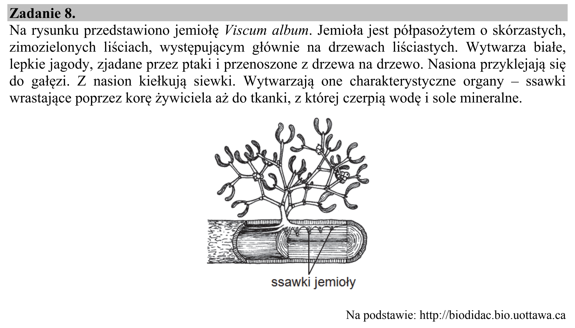 Matura, maj 2015, wstęp zadania 8