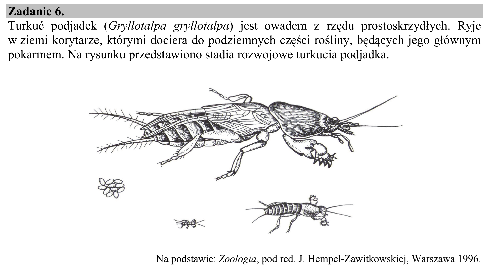 Matura, maj 2017, wstęp zadania 6