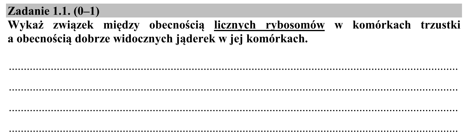Matura, maj 2019, zadanie 1.1