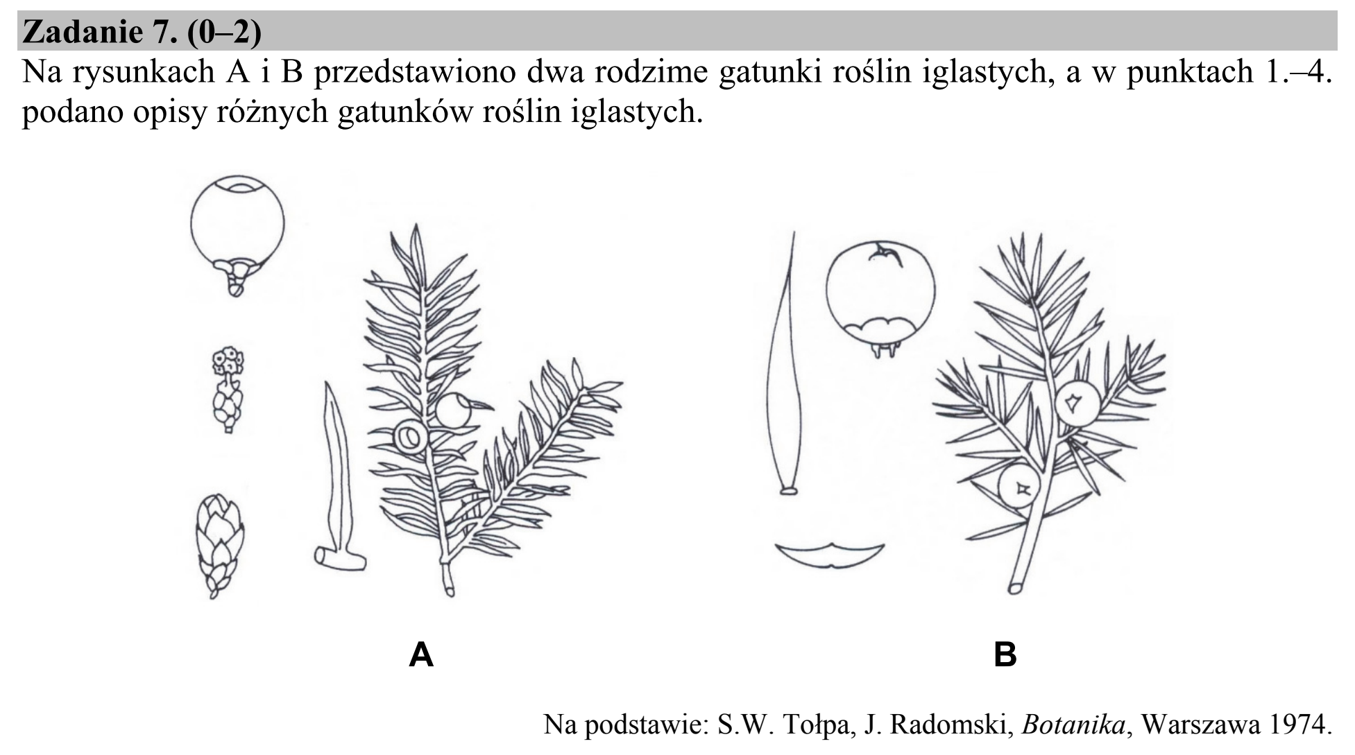 Matura, maj 2019, podgląd zadania 7, fragment 1