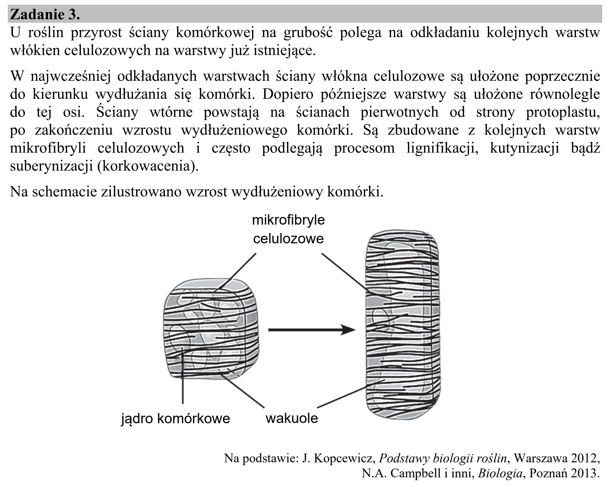 Matura, maj 2020, wstęp zadania 3
