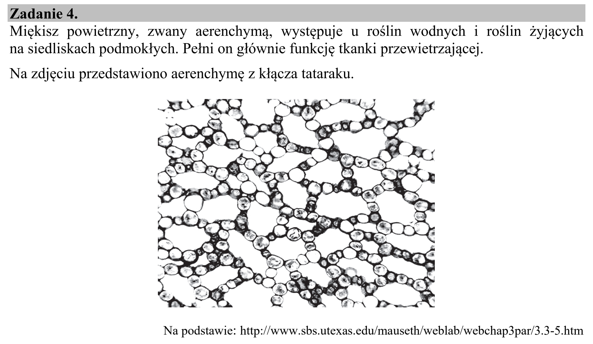 Matura, maj 2020, wstęp zadania 4