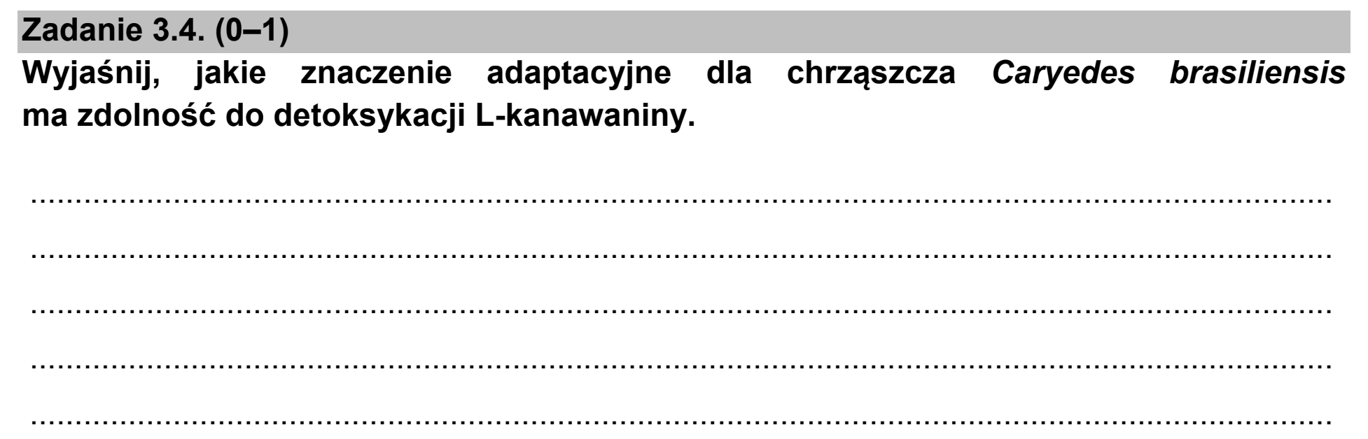 Matura, maj 2021, zadanie 3.4