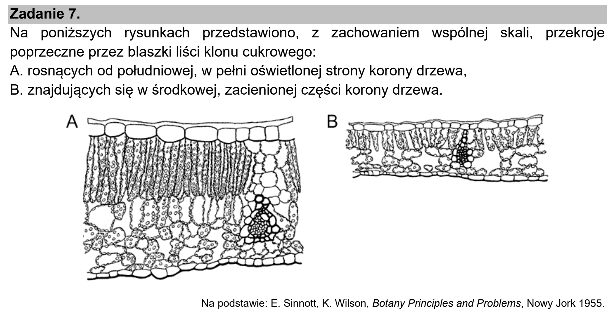 Matura, maj 2021, wstęp zadania 7