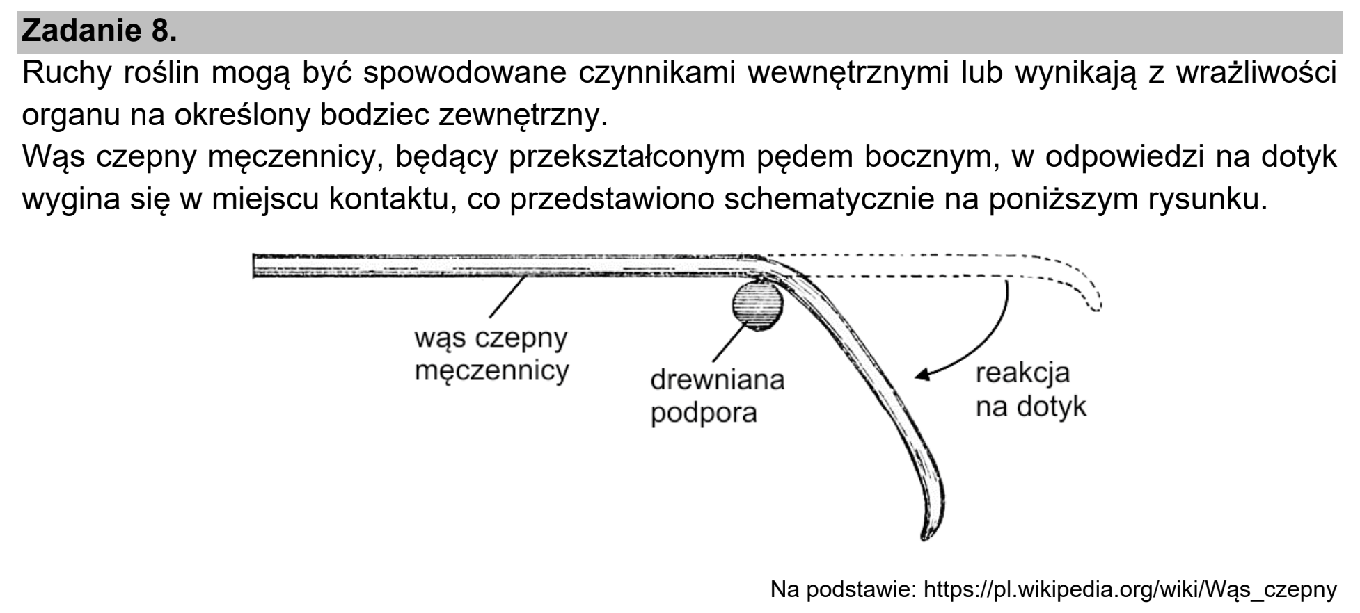 Matura, maj 2021, wstęp zadania 8