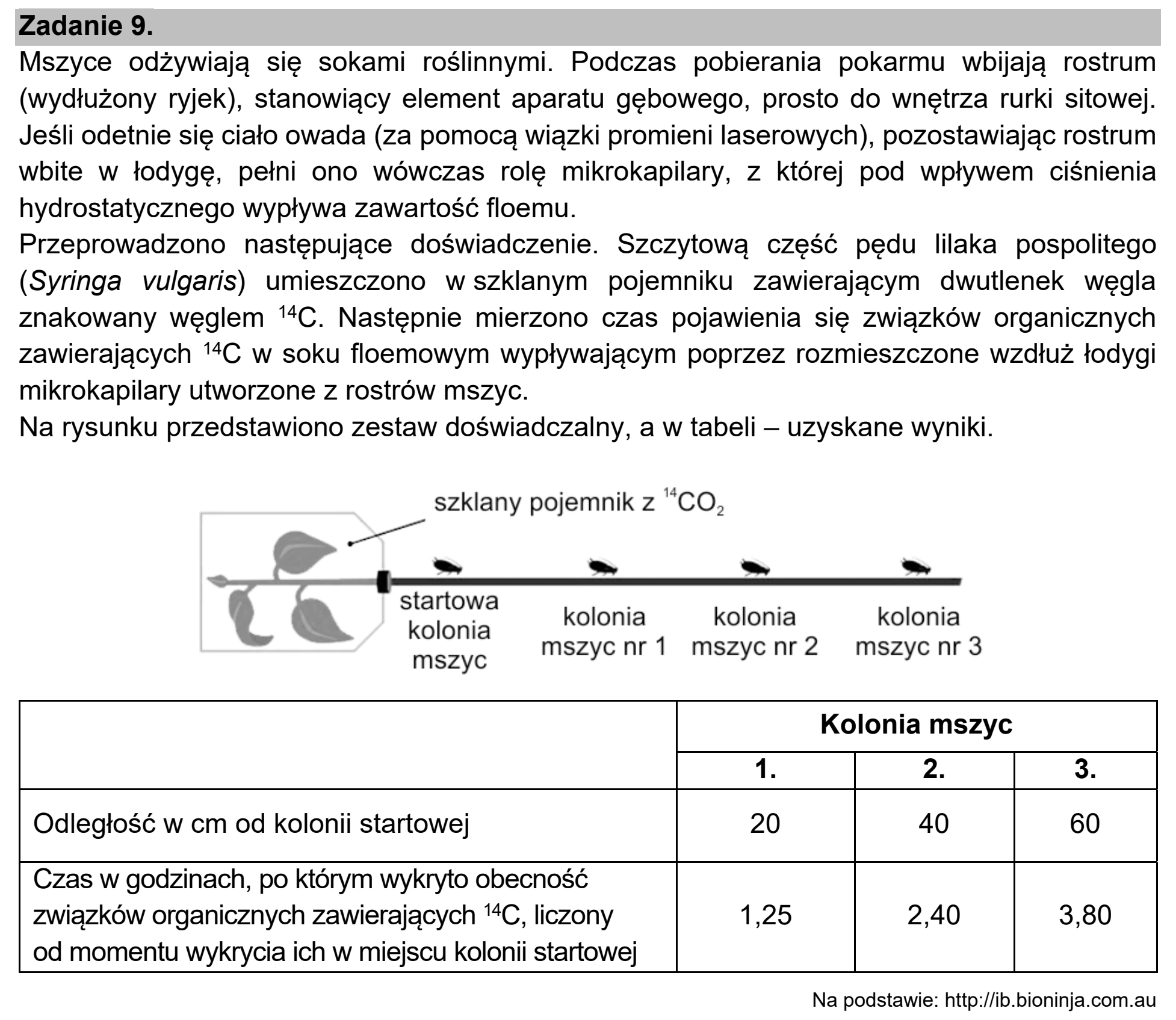 Matura, maj 2021, wstęp zadania 9