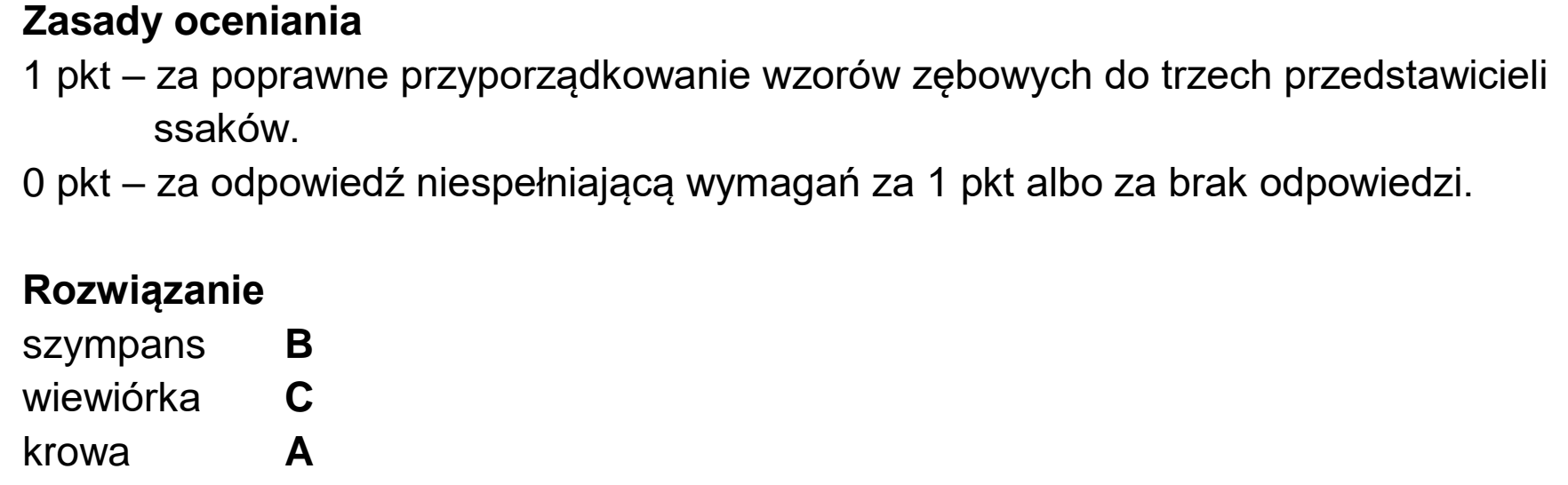 Matura, maj 2022, odpowiedź do zadania 13