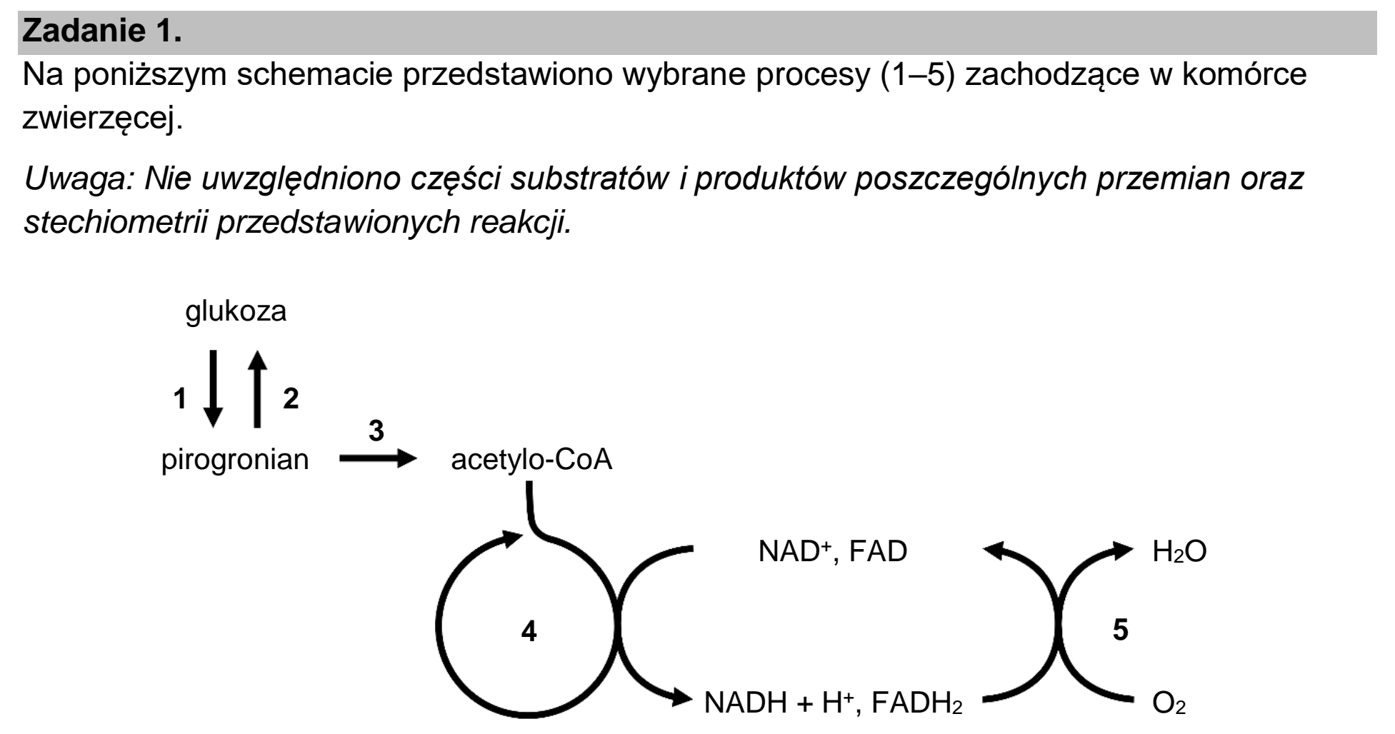 Matura, maj 2022, wstęp zadania 1