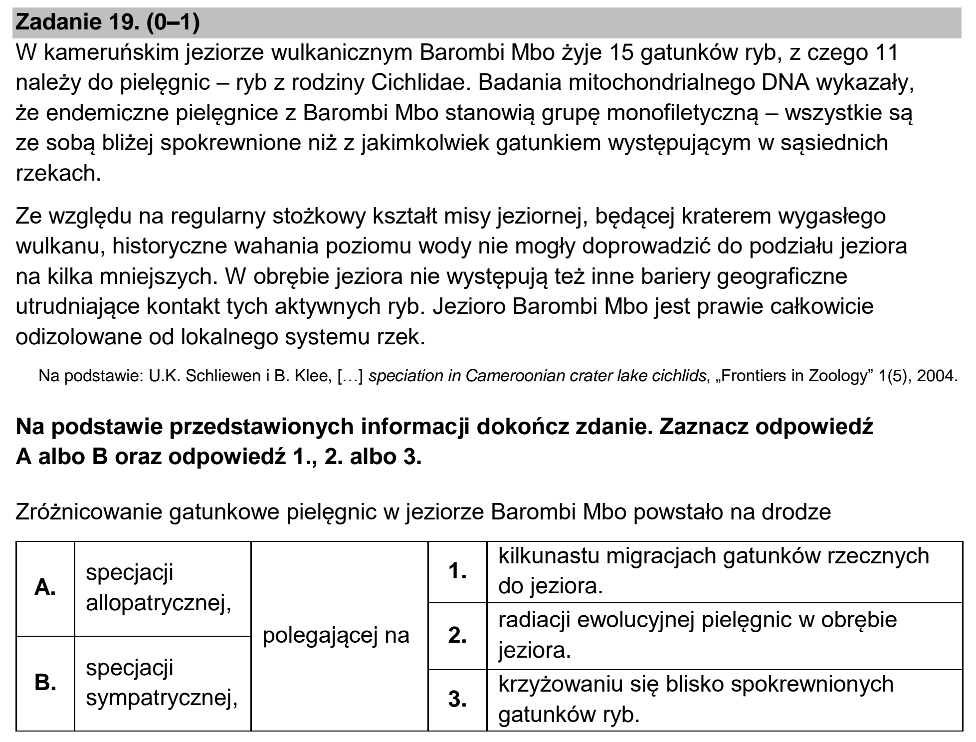 Matura, maj 2022, podgląd zadania 19