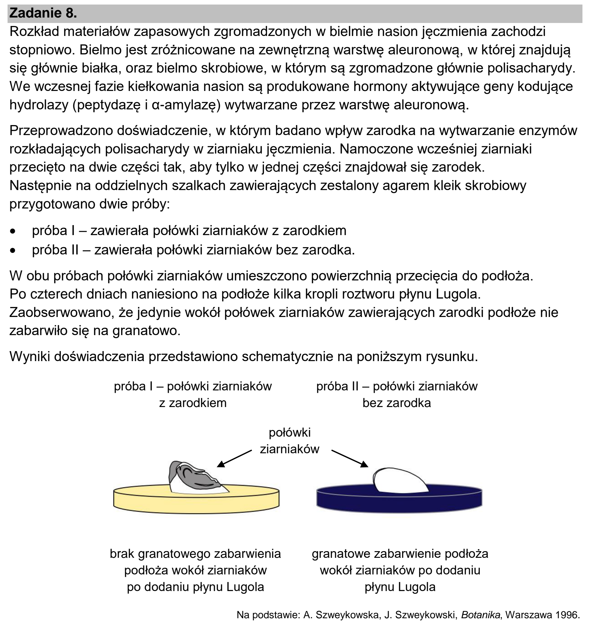 Matura, maj 2022, wstęp zadania 8