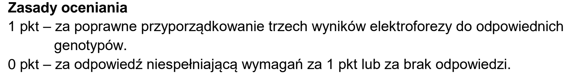 Matura, maj 2023, odpowiedź do zadania 13.4