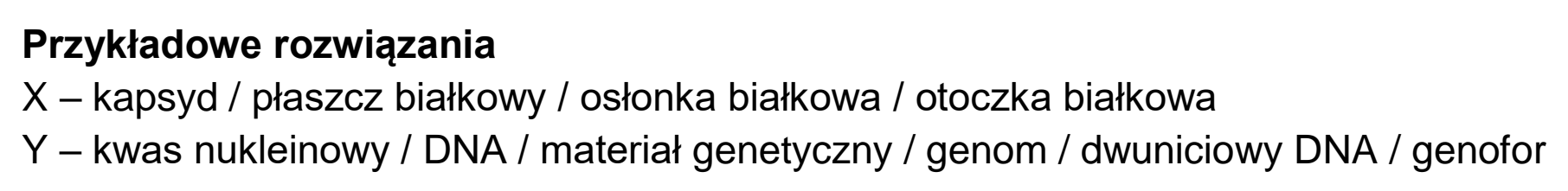 Matura, maj 2023, odpowiedź do zadania 14.1, fragment 2