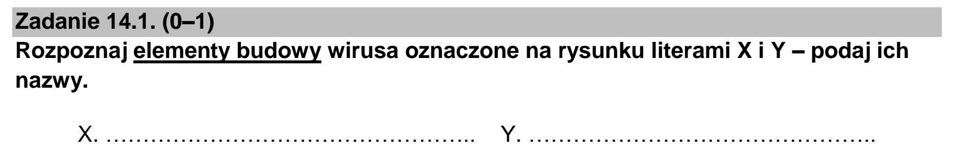 Matura, maj 2023, zadanie 14.1