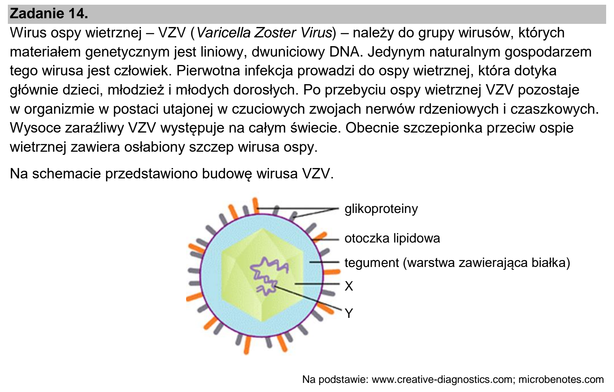 Matura, maj 2023, wstęp zadania 14