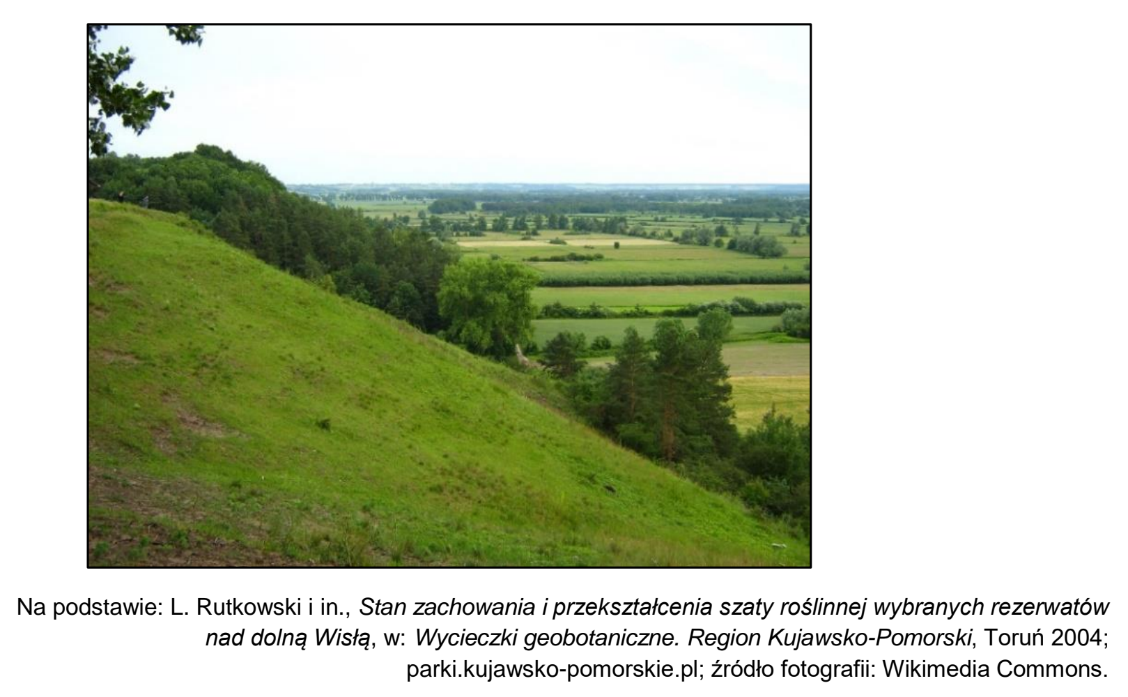 Matura, maj 2023, wstęp zadania 16, fragment 2