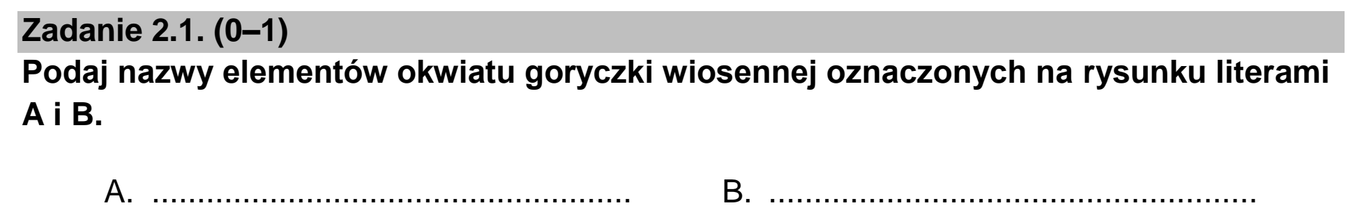 Matura, maj 2023, zadanie 2.1