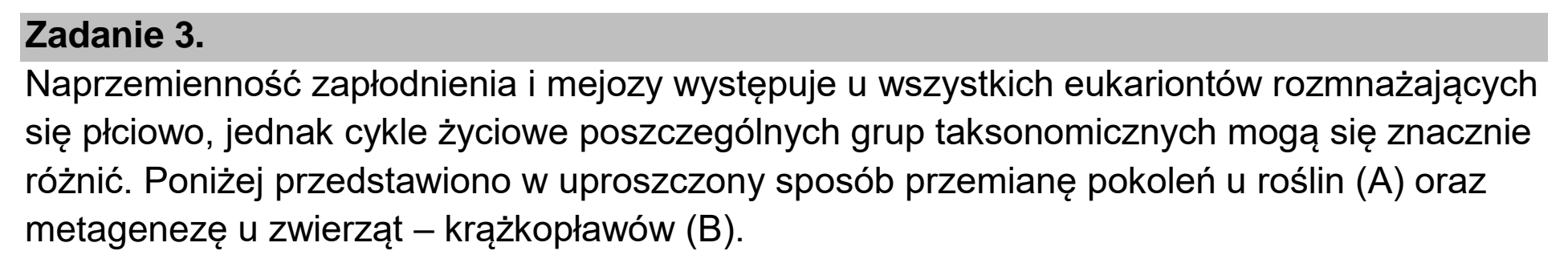 Matura, maj 2023, wstęp zadania 3