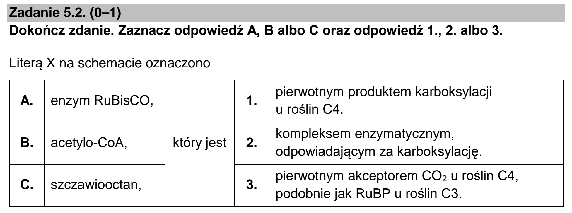Matura, maj 2023, zadanie 5.2