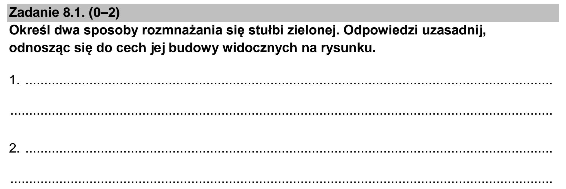 Matura, maj 2023, zadanie 8.1
