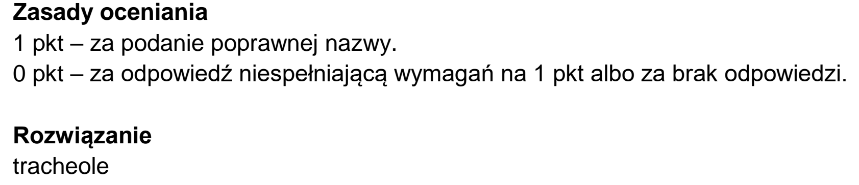 Matura, maj 2024, odpowiedź do zadania 3.3