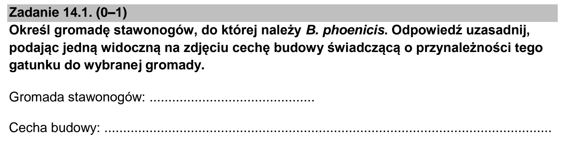 Matura, maj 2024, zadanie 14.1