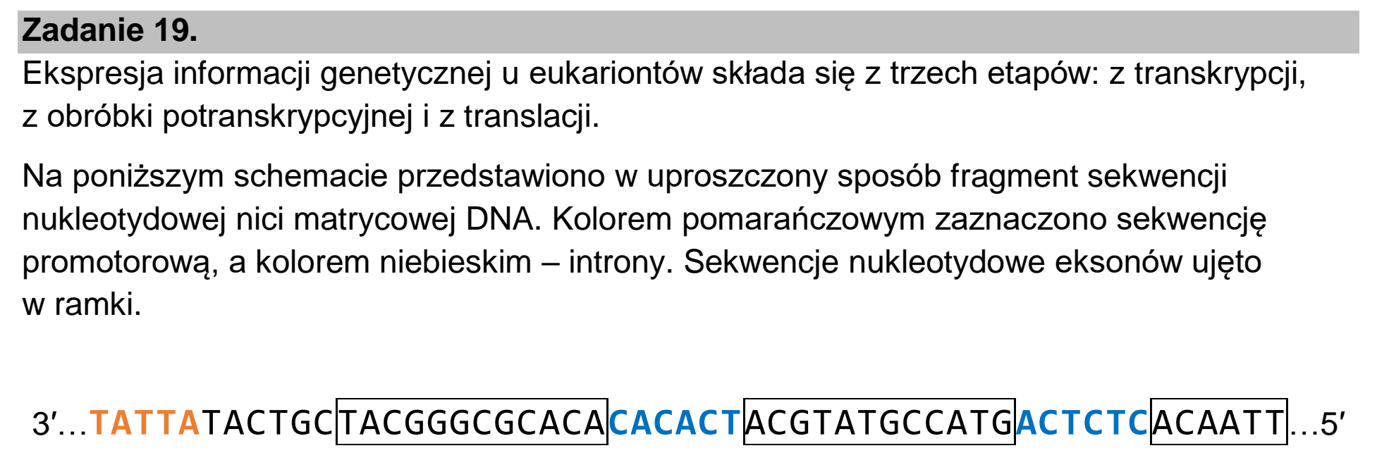 Matura, maj 2024, wstęp zadania 19