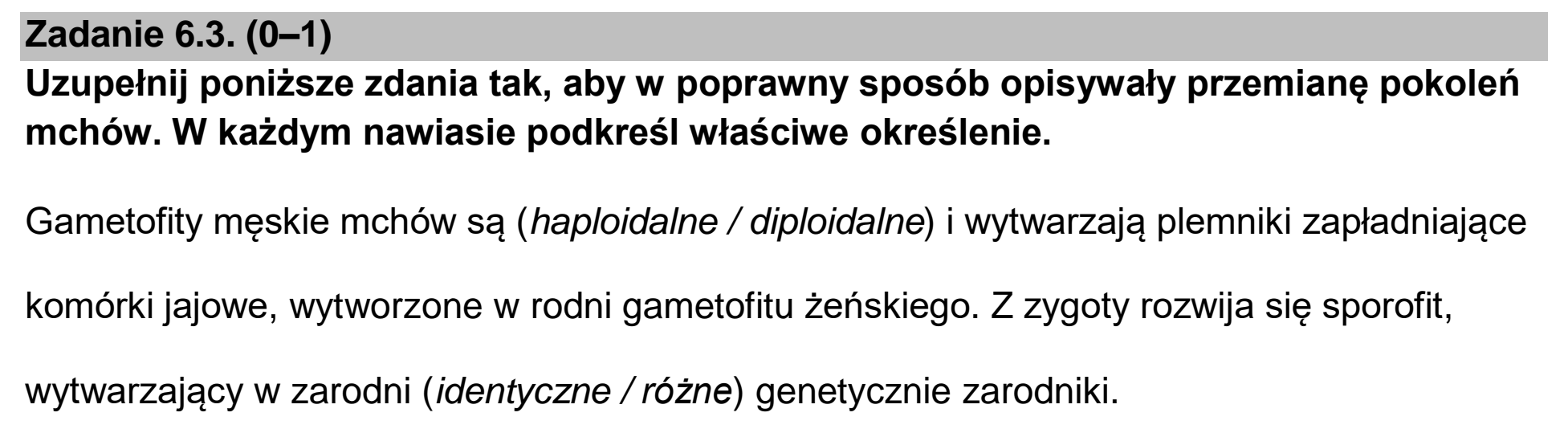 Matura, maj 2024, zadanie 6.3