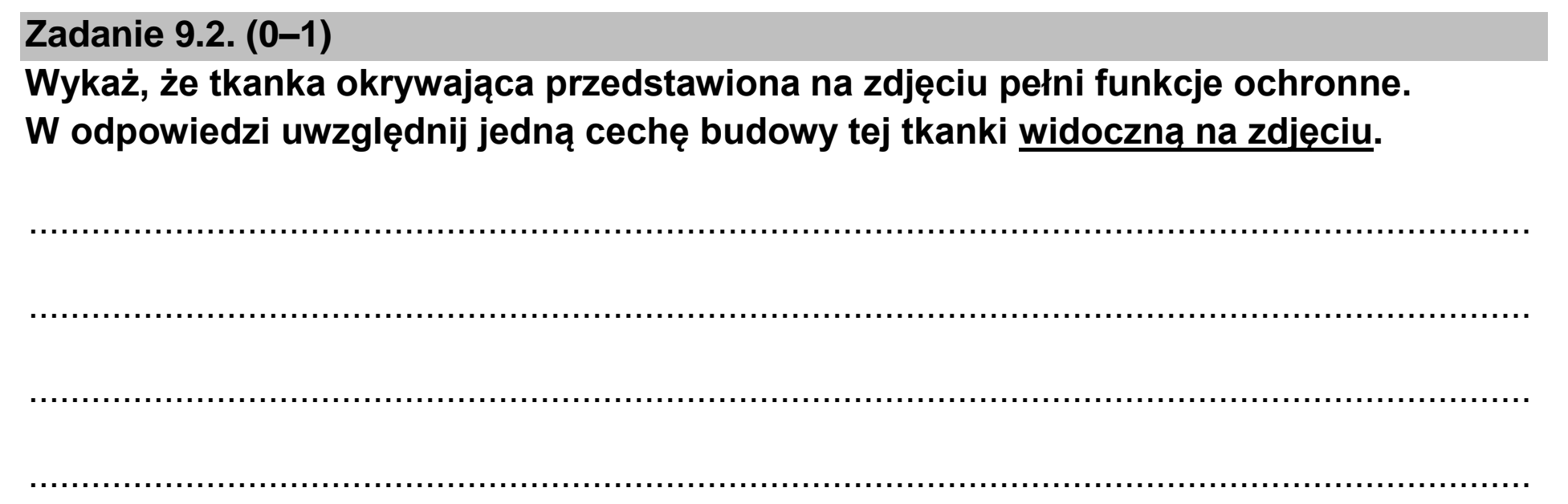 Matura, maj 2024, zadanie 9.2