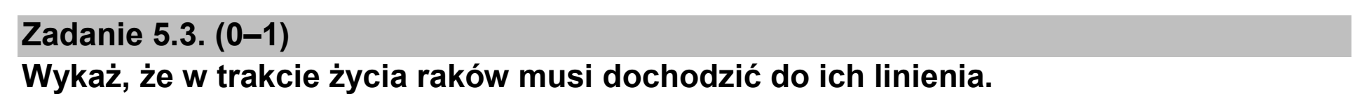 Matura, maj 2025, zadanie 5.3