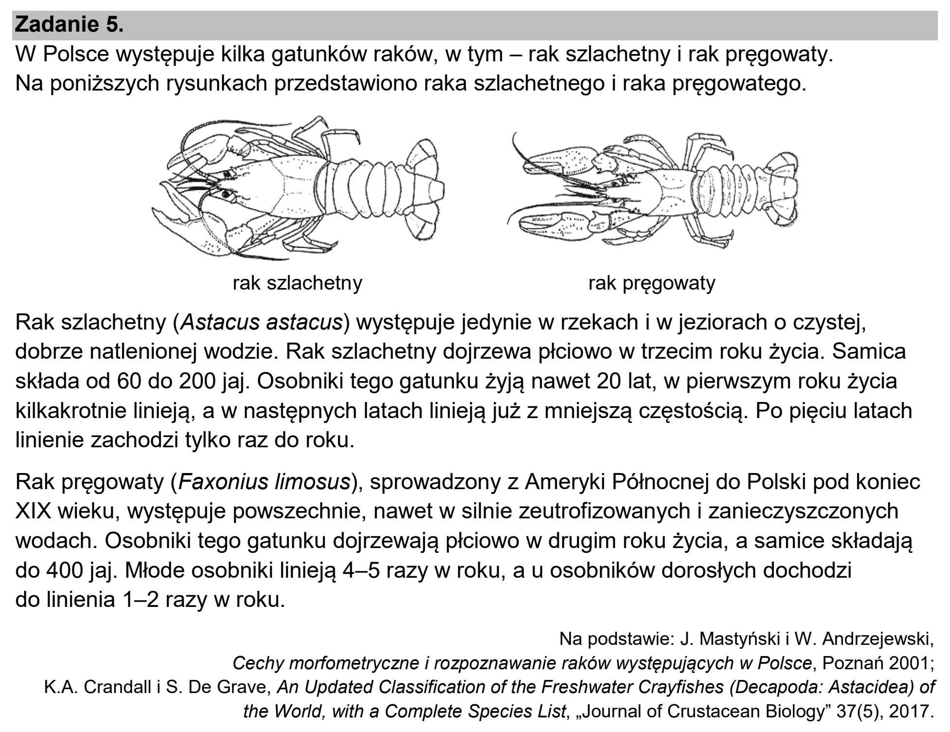 Matura, maj 2025, wstęp zadania 5