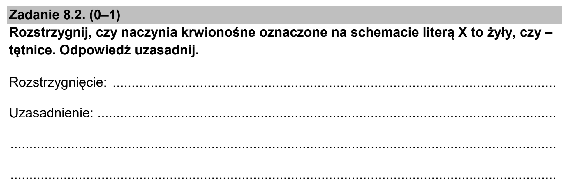 Matura, maj 2025, zadanie 8.2