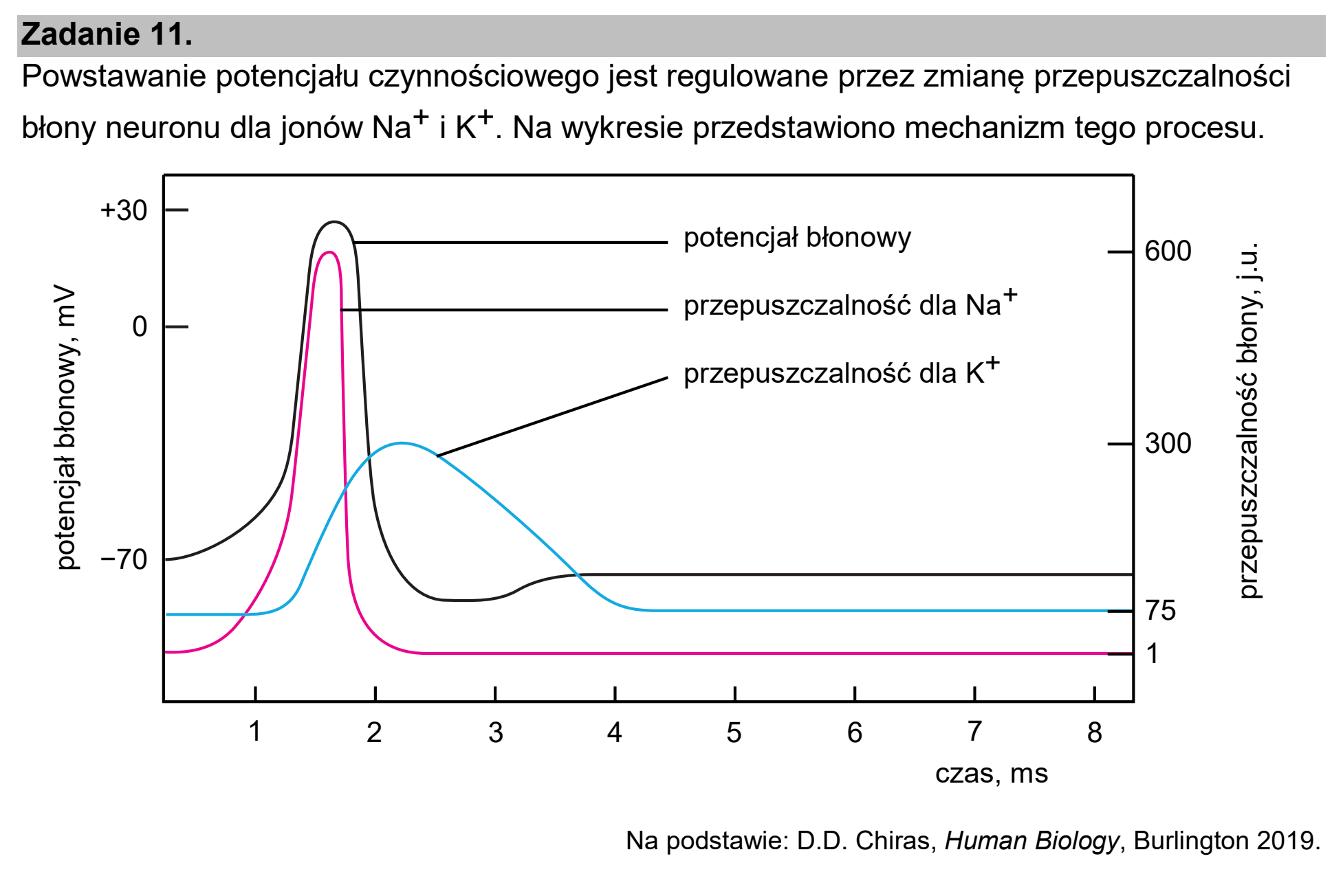 Matura, maj 2026, wstęp zadania 11